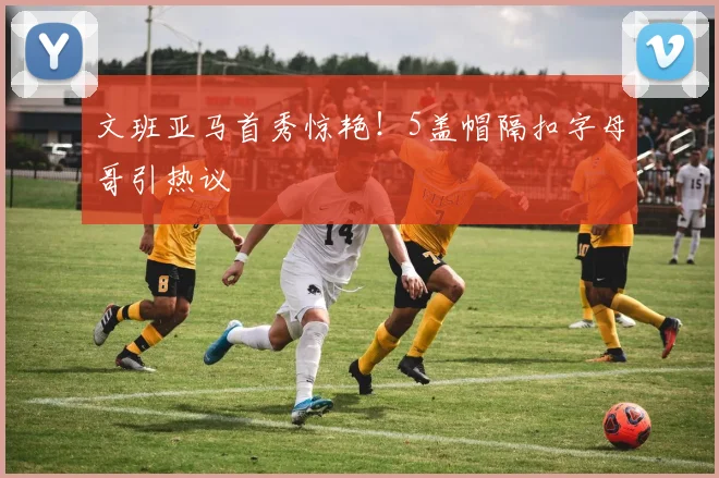 文班亚马首秀惊艳！5盖帽隔扣字母哥引热议