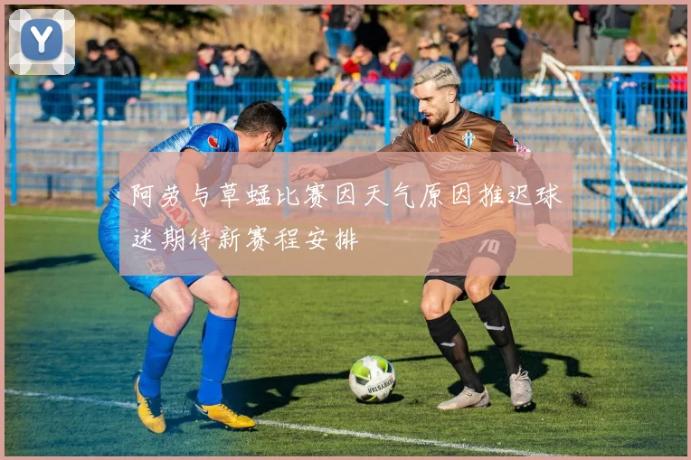 阿劳与草蜢比赛因天气原因推迟球迷期待新赛程安排