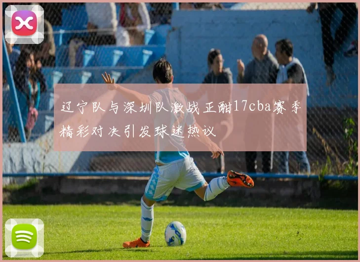 辽宁队与深圳队激战正酣17cba赛季精彩对决引发球迷热议